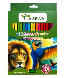 Color corto La Selva 12 colores