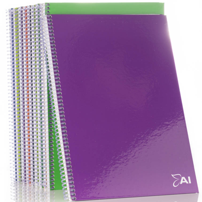 Cuaderno anillado American Iris Oficio100H