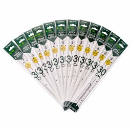 Regla Transparente frebiel 30cm