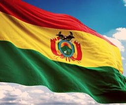 [BAN-TRI-1] Bandera Tricolor 1m
