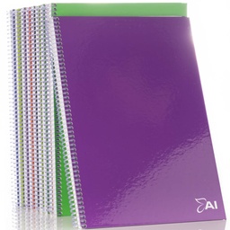 [AAIO100H] Cuaderno anillado American Iris Oficio100H